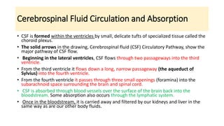 Cerebrospinal Fluid Circulation and Absorption
• CSF is formed within the ventricles by small, delicate tufts of specialized tissue called the
choroid plexus.
• The solid arrows in the drawing, Cerebrospinal fluid (CSF) Circulatory Pathway, show the
major pathway of CSF flow.
• Beginning in the lateral ventricles, CSF flows through two passageways into the third
ventricle.
• From the third ventricle it flows down a long, narrow passageway (the aqueduct of
Sylvius) into the fourth ventricle.
• From the fourth ventricle it passes through three small openings (foramina) into the
subarachnoid space surrounding the brain and spinal cord.
• CSF is absorbed through blood vessels over the surface of the brain back into the
bloodstream. Some absorption also occurs through the lymphatic system.
• Once in the bloodstream, it is carried away and filtered by our kidneys and liver in the
same way as are our other body fluids.
 