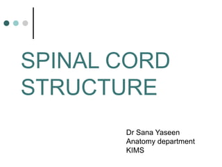 SPINAL CORD
STRUCTURE
Dr Sana Yaseen
Anatomy department
KIMS
 