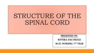 STRUCTURE OF THE
SPINAL CORD
PRESENTED BY:
RITTIKA DAS NEOGI
M.SC NURSING 1ST YEAR
 