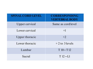 SPINAL CORD LEVEL CORRESPONDING
VERTEBRALBODY
Upper cervical Same as cordlevel
Lower cervical +1
Upper thoracic +2
Lower thoracic + 2 to 3levels
Lumbar T 10– T12
Sacral T 12 –L1
 