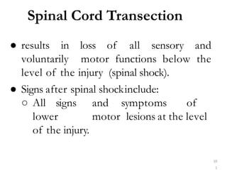 Spinal Cord Transection
10
1
● results in loss of all sensory and
voluntarily motor functions below the
level of the injury (spinal shock).
● Signs after spinal shockinclude:
○ All signs and symptoms of
lower motor lesions at the level
of the injury.
 