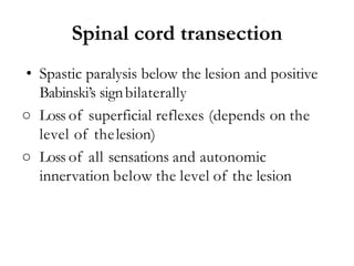Spinal cord transection
• Spastic paralysis below the lesion and positive
Babinski’s signbilaterally
○ Loss of superficial reflexes (depends on the
level of thelesion)
○ Loss of all sensations and autonomic
innervation below the level of the lesion
 