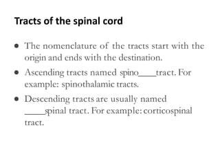 ● The nomenclature of the tracts start with the
origin and ends with the destination.
● Ascending tracts named spino____tract. For
example: spinothalamic tracts.
● Descending tracts are usually named
_____spinal tract. For example:corticospinal
tract.
Tracts of the spinal cord
 