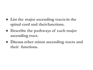 ● List the major ascending tracts in the
spinal cord and theirfunctions.
● Describe the pathways of each major
ascending tract.
● Discuss other minor ascending tracts and
their functions.
 