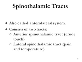 Spinothalamic Tracts
31
● Also called anterolateral system.
● Consists of two tracts:
○ Anterior spinothalamic tract (crude
touch)
○ Lateral spinothalamic tract (pain
and temperature)
 