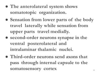 34
● The anterolateral system shows
somatotopic organization.
● Sensation from lower parts of the body
travel laterally while sensation from
upper parts travel medially.
● second-order neurons synapse in the
ventral posterolateral and
intralaminar thalamic nuclei.
● Third-order neurons send axons that
pass through internal capsule to the
somatosensory cortex
 