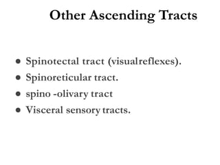 Other Ascending Tracts
● Spinotectal tract (visualreflexes).
● Spinoreticular tract.
● spino -olivary tract
● Visceral sensorytracts.
 