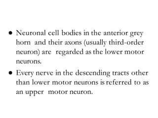 ● Neuronal cell bodies in the anterior grey
horn and their axons (usually third-order
neuron) are regarded as the lower motor
neurons.
● Every nerve in the descending tracts other
than lower motor neurons is referred to as
an upper motor neuron.
 