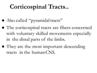 Corticospinal Tracts..
● Also called “pyramidaltracts”
● The corticospinal tracts are fibers concerned
with voluntary skilled movements especially
in the distal parts of the limbs.
● They are the most important descending
tracts in the humanCNS.
 