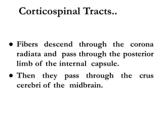 Corticospinal Tracts..
● Fibers descend through the corona
radiata and pass through the posterior
limb of the internal capsule.
● Then they pass through the crus
cerebri of the midbrain.
 