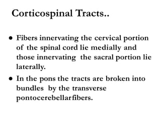 Corticospinal Tracts..
● Fibers innervating the cervical portion
of the spinal cord lie medially and
those innervating the sacral portion lie
laterally.
● In the pons the tracts are broken into
bundles by the transverse
pontocerebellarfibers.
 