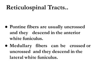 Reticulospinal Tracts..
● Pontine fibers are usually uncrossed
and they descend in the anterior
white funiculus.
● Medullary fibers can be crossed or
uncrossed and they descend in the
lateral white funiculus.
 