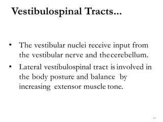 Vestibulospinal Tracts...
67
• The vestibular nuclei receive input from
the vestibular nerve and thecerebellum.
• Lateral vestibulospinal tract is involved in
the body posture and balance by
increasing extensor muscle tone.
 