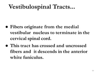 Vestibulospinal Tracts...
69
● Fibers originate from the medial
vestibular nucleus to terminate in the
cervical spinal cord.
● This tract has crossed and uncrossed
fibers and it descends in the anterior
white funiculus.
 