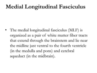 • The medial longitudinal fasciculus (MLF) is
organized as a pair of white matter fiber tracts
that extend through the brainstem and lie near
the midline just ventral to the fourth ventricle
(in the medulla and pons) and cerebral
aqueduct (in the midbrain).
Medial Longitudinal Fasciculus
 