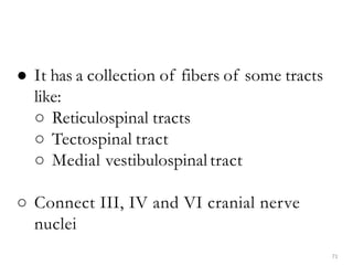 71
● It has a collection of fibers of some tracts
like:
○ Reticulospinal tracts
○ Tectospinal tract
○ Medial vestibulospinal tract
○ Connect III, IV and VI cranial nerve
nuclei
 