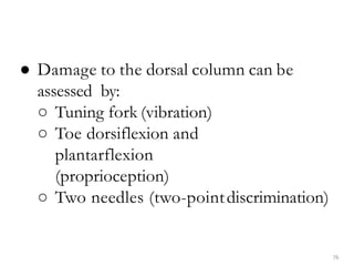 76
● Damage to the dorsal column can be
assessed by:
○ Tuning fork (vibration)
○ Toe dorsiflexion and
plantarflexion
(proprioception)
○ Two needles (two-pointdiscrimination)
 