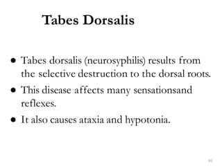 Tabes Dorsalis
82
● Tabes dorsalis (neurosyphilis) results from
the selective destruction to the dorsal roots.
● This disease affects many sensationsand
reflexes.
● It also causes ataxia and hypotonia.
 