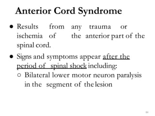 Anterior Cord Syndrome
84
● Results from any trauma or
ischemia of the anterior part of the
spinal cord.
● Signs and symptoms appear after the
period of spinal shock including:
○ Bilateral lower motor neuron paralysis
in the segment of thelesion
 