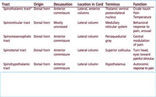  Then enter to ventral posterior lateral nucleus (VPL) of the thalamus.
 Then via the thalamic somatosensory radiations to the primary
somatosensory cortex in the postcentral gyrus.
 