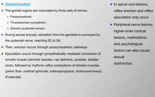Sexual Function
The genital organs are innervated by three sets of nerves:
Parasympathetic
Thoracolumbar sympathetic,
Somatic (pudendal nerves).
During sexual arousal, sensation from the genitalia is conveyed by
the pudendal nerve, reaching S2 to S4.
Then, erection occurs through parasympathetic pathways.
Ejaculation occurs through sympathetically mediated contraction of
smooth muscle (seminal vesicles, vas deferens, prostate, bladder
neck), followed by rhythmic reflex contractions of striated muscles
(pelvic floor, urethral sphincter, bulbospongiosus, ischiocavernosus),
(Pudendal)
In spinal cord lesions,
reflex erection and reflex
ejaculation may occur.
Peripheral nerve lesions,
higher-order cortical
lesions, medications,
and psychological
factors can also cause
sexual
dysfunction.
 