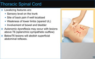 Thoracic Spinal Cord
 Localizing features are:
 Sensory level on the trunk
 Site of back pain if well localized
 Weakness of lower limbs (spared UL)
 Involvement of bowel and bladder
 Autonomic dysreflexia may occur with lesions
above T6 (splanchnic sympathetic outflow)
 BelowT6 lesions will abolish superficial
abdominal reflexes.
39
 