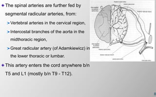 8
The spinal arteries are further fed by
segmental radicular arteries, from:
Vertebral arteries in the cervical region,
Intercostal branches of the aorta in the
midthoracic region,
Great radicular artery (of Adamkiewicz) in
the lower thoracic or lumbar.
This artery enters the cord anywhere b/n
T5 and L1 (mostly b/n T9 - T12).
 