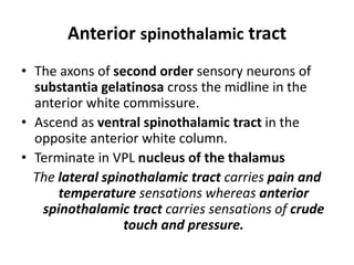SPINAL CORD.2.pptx