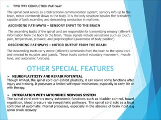  TWO WAY CONDUCTION PATHWAY
The spinal cord serves as a bidirectional communication system; sensory info up to the
brain, motor commands down to the body. It is the only structure besides the brainstem
capable of both ascending and descending conduction in real time.
ASCENDING PATHWAYS – SENSORY INPUT TO THE BRAIN
The ascending tracts of the spinal cord are responsible for transmitting sensory (afferent)
information from the body to the brain. These signals include sensations such as touch,
pain, temperature, pressure, and proprioception (awareness of body position).
DESCENDING PATHWAYS – MOTOR OUTPUT FROM THE BRAIN
The descending tracts carry motor (efferent) commands from the brain to the spinal cord
and onward to muscles and glands. These tracts control voluntary movement, muscle
tone, and autonomic functions.
Ø NEUROPLASTICITY AND REPAIR POTENTIAL
Though limited, the spinal cord can exhibit plasticity, it can rewire some functions after
injury and training. It possesses a limited self-repair mechanism, especially in early life or
with therapy.
Ø INTEGRATION WITH AUTONOMIC NERVOUS SYSTEM
The spinal cord controls many autonomic functions such as bladder control, bowel
regulation, blood pressure via sympathetic pathways. The spinal cord acts as a local
controller of automatic internal processes, especially in the absence of brain input e.g
spinal shock recovery
OTHER SPECIAL FEATURES
 