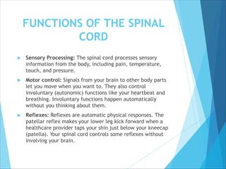 FUNCTIONS OF THE SPINAL
CORD
 Sensory Processing: The spinal cord processes sensory
information from the body, including pain, temperature,
touch, and pressure.
 Motor control: Signals from your brain to other body parts
let you move when you want to. They also control
involuntary (autonomic) functions like your heartbeat and
breathing. Involuntary functions happen automatically
without you thinking about them.
 Reflexes: Reflexes are automatic physical responses. The
patellar reflex makes your lower leg kick forward when a
healthcare provider taps your shin just below your kneecap
(patella). Your spinal cord controls some reflexes without
involving your brain.
 