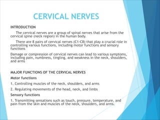 CERVICAL NERVES
INTRODUCTION
The cervical nerves are a group of spinal nerves that arise from the
cervical spine (neck region) in the human body.
There are 8 pairs of cervical nerves (C1-C8) that play a crucial role in
controlling various functions, including motor functions and sensory
functions
Damage or compression of cervical nerves can lead to various symptoms,
including pain, numbness, tingling, and weakness in the neck, shoulders,
and arms
MAJOR FUNCTIONS OF THE CERVICAL NERVES
Motor functions
1. Controlling muscles of the neck, shoulders, and arms
2. Regulating movements of the head, neck, and limbs
Sensory functions
1. Transmitting sensations such as touch, pressure, temperature, and
pain from the skin and muscles of the neck, shoulders, and arms.
 