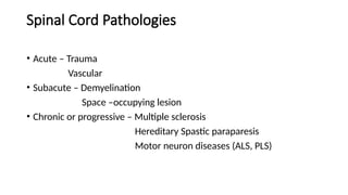 Spinal Cord anatomy and approach to myelopathy | PPTX