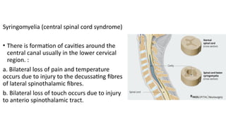 Anatomy of Spinal cord with clinical aspects.pptx
