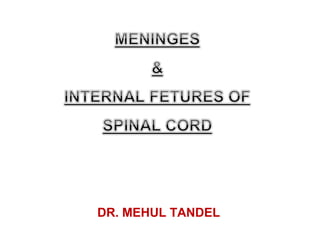 DR. MEHUL TANDEL
 