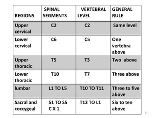 REGIONS
SPINAL
SEGMENTS
VERTEBRAL
LEVEL
GENERAL
RULE
Upper
cervical
C2 C2 Same level
Lower
cervical
C6 C5 One
vertebra
above
Upper
thoracic
T5 T3 Two above
Lower
thoracic
T10 T7 Three above
lumbar L1 TO L5 T10 TO T11 Three to five
above
Sacral and
coccygeal
S1 TO S5
C X 1
T12 TO L1 Six to ten
above
22
 