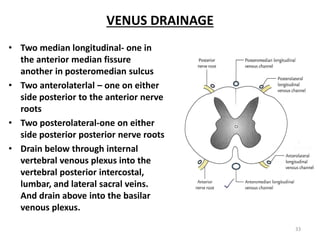 VENUS DRAINAGE
• Two median longitudinal- one in
the anterior median fissure
another in posteromedian sulcus
• Two anterolaterlal – one on either
side posterior to the anterior nerve
roots
• Two posterolateral-one on either
side posterior posterior nerve roots
• Drain below through internal
vertebral venous plexus into the
vertebral posterior intercostal,
lumbar, and lateral sacral veins.
And drain above into the basilar
venous plexus.
33
 