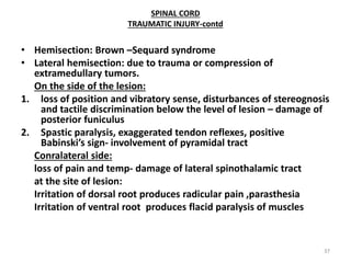 SPINAL CORD
TRAUMATIC INJURY-contd
• Hemisection: Brown –Sequard syndrome
• Lateral hemisection: due to trauma or compression of
extramedullary tumors.
On the side of the lesion:
1. loss of position and vibratory sense, disturbances of stereognosis
and tactile discrimination below the level of lesion – damage of
posterior funiculus
2. Spastic paralysis, exaggerated tendon reflexes, positive
Babi ski’s sig - involvement of pyramidal tract
Conralateral side:
loss of pain and temp- damage of lateral spinothalamic tract
at the site of lesion:
Irritation of dorsal root produces radicular pain ,parasthesia
Irritation of ventral root produces flacid paralysis of muscles
37
 