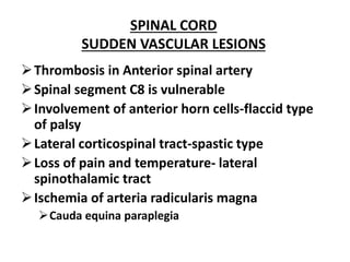 SPINAL CORD
SUDDEN VASCULAR LESIONS
Thrombosis in Anterior spinal artery
Spinal segment C8 is vulnerable
Involvement of anterior horn cells-flaccid type
of palsy
Lateral corticospinal tract-spastic type
Loss of pain and temperature- lateral
spinothalamic tract
Ischemia of arteria radicularis magna
Cauda equina paraplegia
 