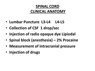 SPINAL CORD
CLINICAL ANATOMY
• Lumbar Puncture L3-L4 L4-L5
• Collection of CSF 1 drop/sec
• Injection of radio opaque dye Lipiodal
• Spinal block (anesthesia) – 2% Procaine
• Measurement of intracranial pressure
• Injection of drugs
 