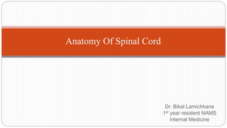 Dr. Bikal Lamichhane
1st year resident NAMS
Internal Medicine
Anatomy Of Spinal Cord
 