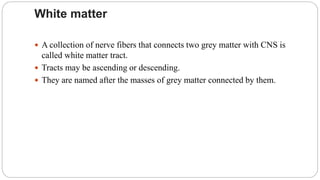 White matter
 A collection of nerve fibers that connects two grey matter with CNS is
called white matter tract.
 Tracts may be ascending or descending.
 They are named after the masses of grey matter connected by them.
 