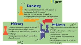 Comprehensive Overview of Spinal Cord Anatomy and Neural Physiology | PPTX