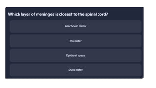 Comprehensive Overview of Spinal Cord Anatomy and Neural Physiology | PPTX