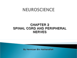 CHAPTER 2CHAPTER 2
SPINAL CORD AND PERIPHERALSPINAL CORD AND PERIPHERAL
NERVESNERVES
By Hermizan Bin HalihanafiahBy Hermizan Bin Halihanafiah
 