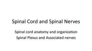Spinal Cord and Spinal Nerves
Spinal cord anatomy and organization
Spinal Plexus and Associated nerves
 