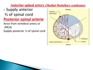Anterior spinal artery (Medial Medullary syndrome)
 Supply anterior
⅔ of spinal cord
Posterior spinal arterie
Arise from vertebral artery or
(PICA)
Supply posterior ⅓ of spinal cord
 