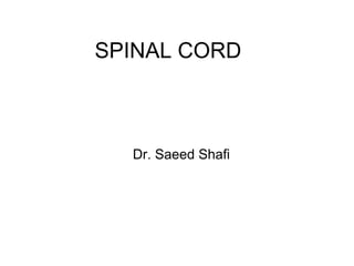 SPINAL CORD
Dr. Saeed Shafi
 