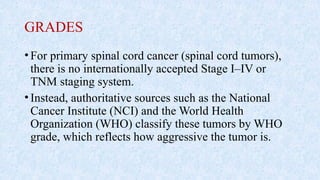 GRADES
•For primary spinal cord cancer (spinal cord tumors),
there is no internationally accepted Stage I–IV or
TNM staging system.
•Instead, authoritative sources such as the National
Cancer Institute (NCI) and the World Health
Organization (WHO) classify these tumors by WHO
grade, which reflects how aggressive the tumor is.
 