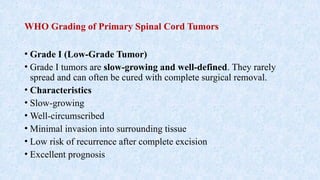WHO Grading of Primary Spinal Cord Tumors
• Grade I (Low-Grade Tumor)
• Grade I tumors are slow-growing and well-defined. They rarely
spread and can often be cured with complete surgical removal.
• Characteristics
• Slow-growing
• Well-circumscribed
• Minimal invasion into surrounding tissue
• Low risk of recurrence after complete excision
• Excellent prognosis
 