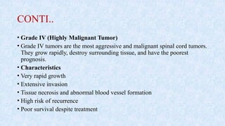 CONTI..
• Grade IV (Highly Malignant Tumor)
• Grade IV tumors are the most aggressive and malignant spinal cord tumors.
They grow rapidly, destroy surrounding tissue, and have the poorest
prognosis.
• Characteristics
• Very rapid growth
• Extensive invasion
• Tissue necrosis and abnormal blood vessel formation
• High risk of recurrence
• Poor survival despite treatment
 